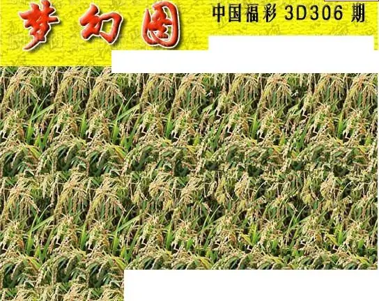 25306期: 3D蝴蝶世家蝴蝶彩图