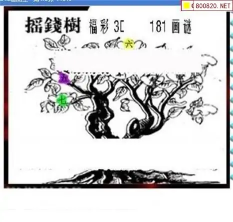 25181期: 三毛3D精品图谜