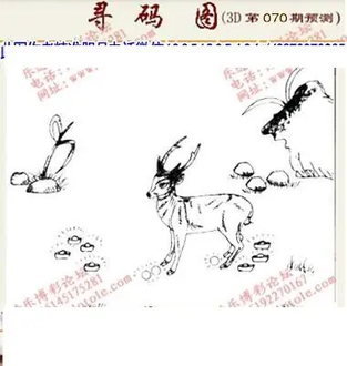 九宝图26070期福彩3D寻码图