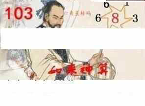 24103期: 白老3D杀码图版