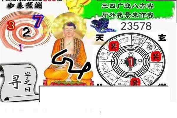 24236期: 白老3D杀码图版