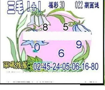 26022期: 三毛3D精品图谜