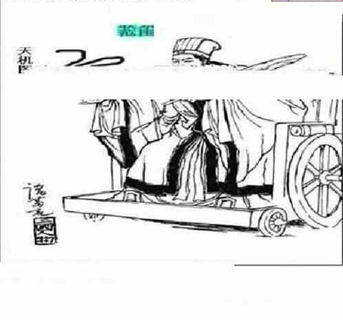 24118期: 三毛3D精品图谜