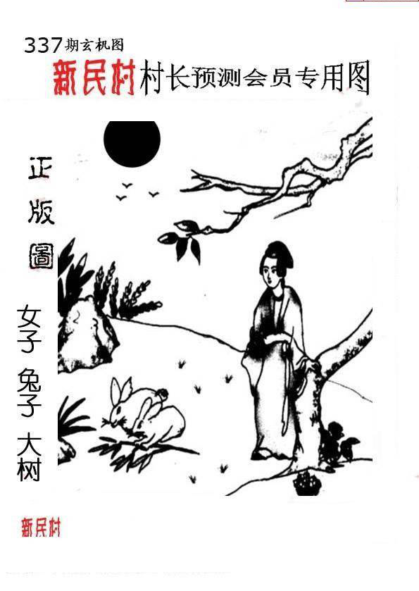 24337期: 老村长福彩3D天天图谜