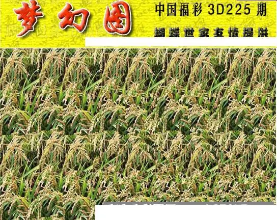 25225期: 3D蝴蝶世家蝴蝶彩图