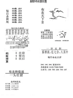 26060期: 福彩3D全套图版参考