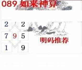 24089期: 白老3D杀码图版