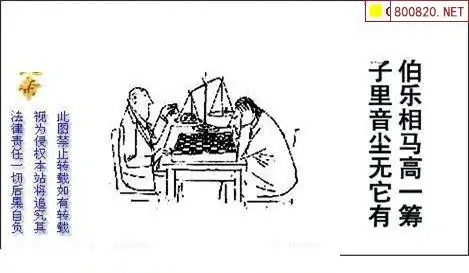 25155期: 白老3D杀码图版