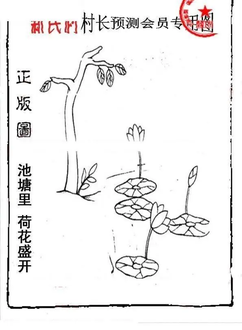 25351期: 老村长福彩3D天天图谜