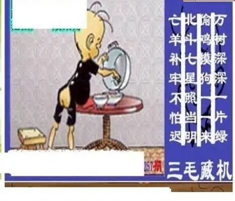 25257期: 三毛3D精品图谜