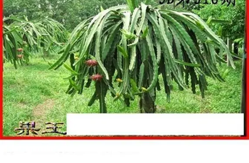 25318期: 白老3D杀码图版