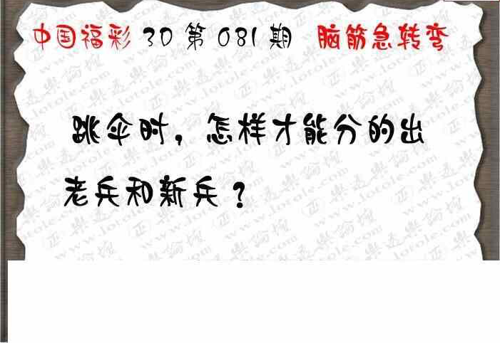 24081期: 3D蝴蝶世家蝴蝶彩图