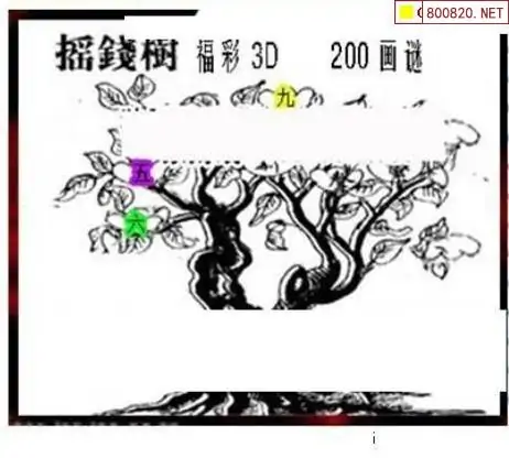 25200期: 三毛3D精品图谜