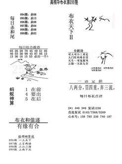 26099期: 福彩3D全套图版参考