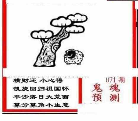 24071期: 三毛3D精品图谜