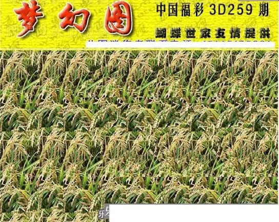 25259期: 3D蝴蝶世家蝴蝶彩图