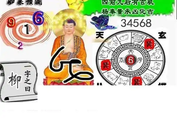 25320期: 白老3D杀码图版