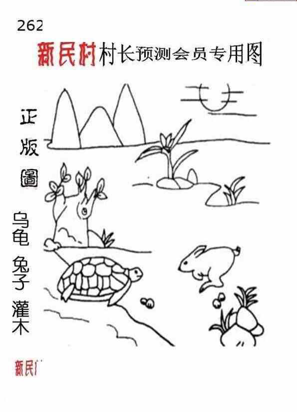 24262期: 老村长福彩3D天天图谜