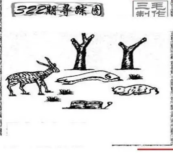 25322期: 三毛3D精品图谜