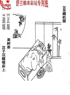 25308期: 老村长福彩3D天天图谜