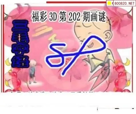 25202期: 三毛3D精品图谜