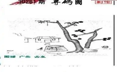 25261期: 三毛3D精品图谜