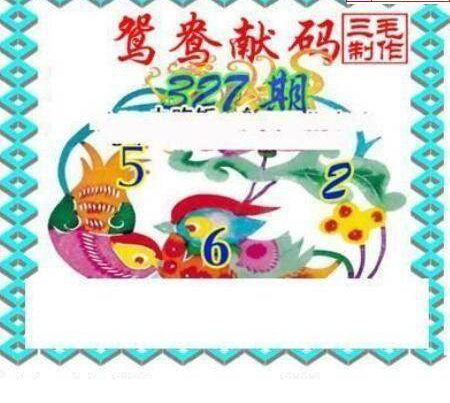 24327期: 三毛3D精品图谜