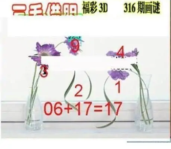 25316期: 三毛3D精品图谜