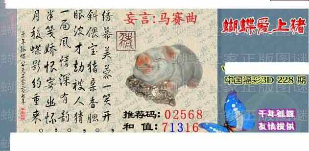 24228期: 3D蝴蝶世家蝴蝶彩图