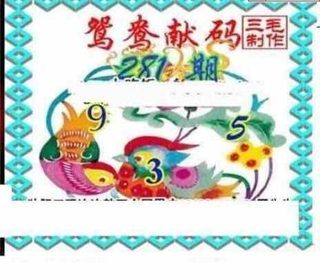 24281期: 三毛3D精品图谜