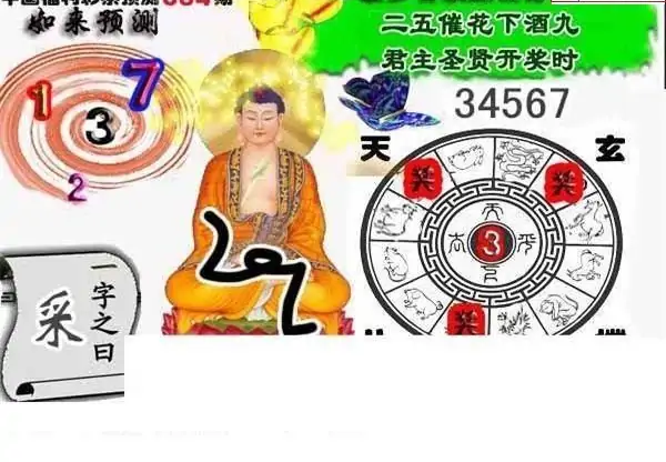 25084期: 白老3D杀码图版