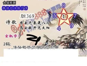 25342期: 白老3D杀码图版