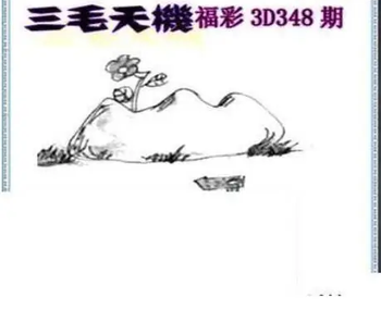 25348期: 三毛3D精品图谜