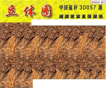 26057期: 3D蝴蝶世家蝴蝶彩图