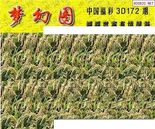 25172期: 3D蝴蝶世家蝴蝶彩图