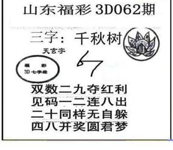 26062期: 三毛3D精品图谜