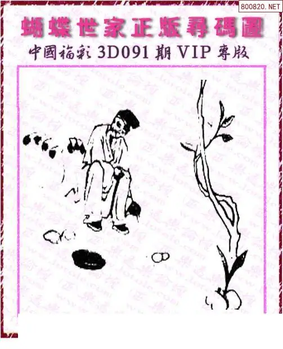 26091期: 3D蝴蝶世家蝴蝶彩图