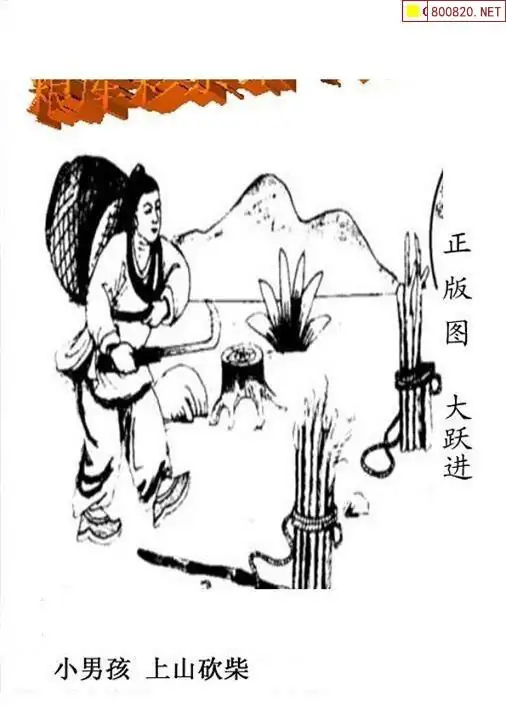 25196期: 老村长福彩3D天天图谜