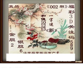 26002期: 白老3D杀码图版