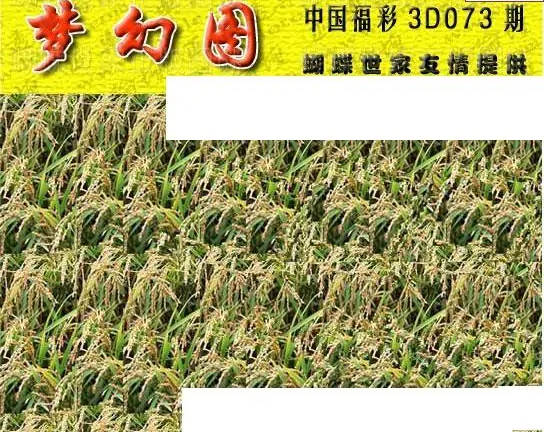 25073期: 3D蝴蝶世家蝴蝶彩图