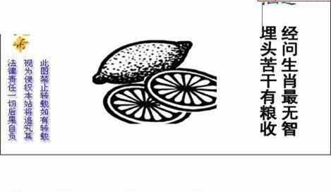 24253期: 白老3D杀码图版