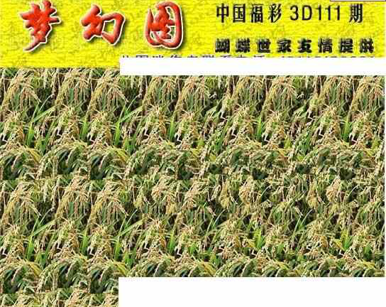 24111期: 3D蝴蝶世家蝴蝶彩图