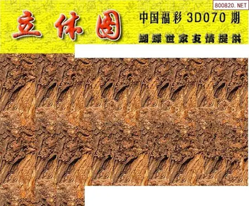 26070期: 3D蝴蝶世家蝴蝶彩图