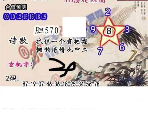 24300期: 白老3D杀码图版
