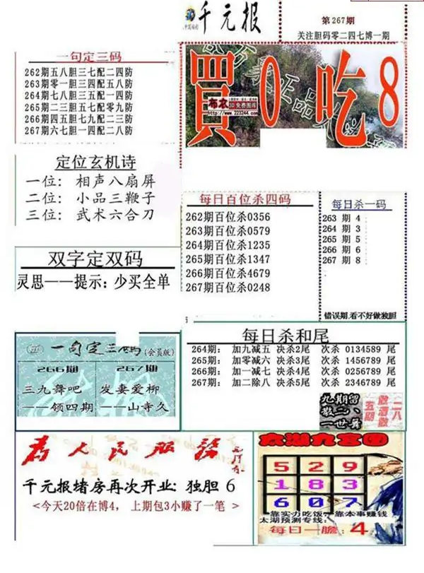 25267期: 福彩3D全套图版参考