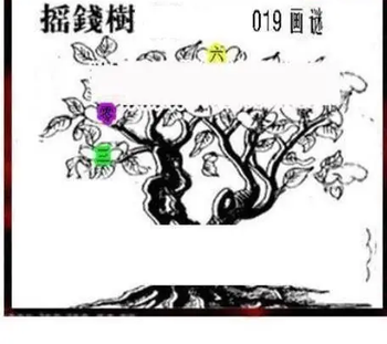 26019期: 三毛3D精品图谜