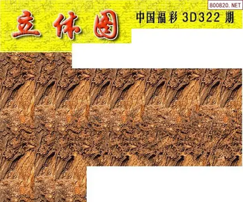 25322期: 3D蝴蝶世家蝴蝶彩图