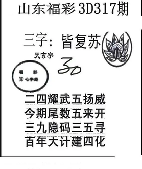 25317期: 三毛3D精品图谜