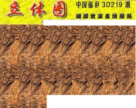 25219期: 3D蝴蝶世家蝴蝶彩图