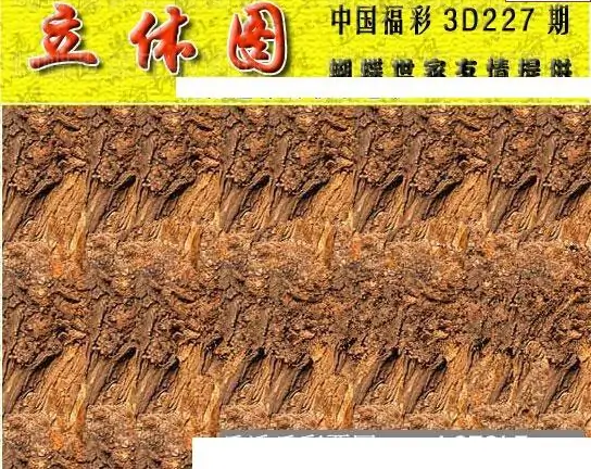 25227期: 3D蝴蝶世家蝴蝶彩图